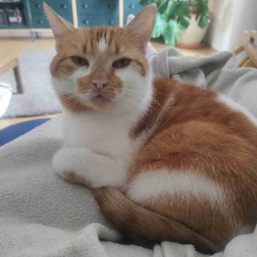freya.liest's profile