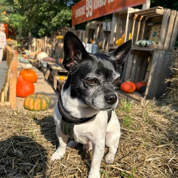 caroth's profile