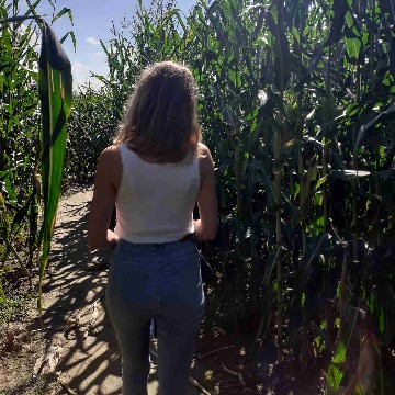 bilsenkraut's profile