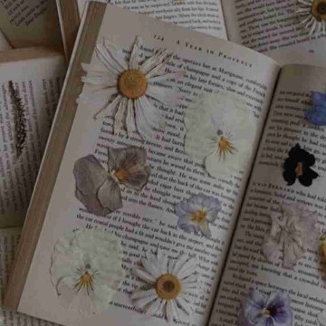 bookloverforever's profile