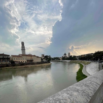 rianonne's profile