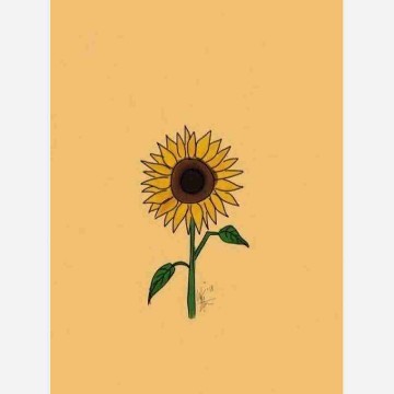 selisbookworld's profile