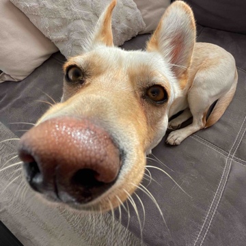 eirammm's profile