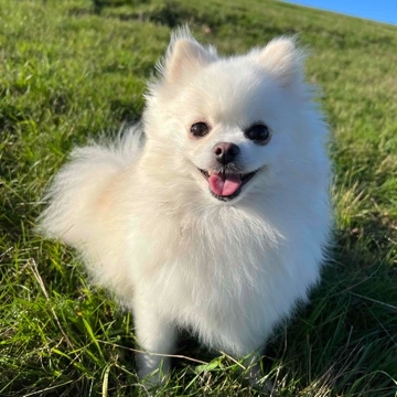 just_dee's profile