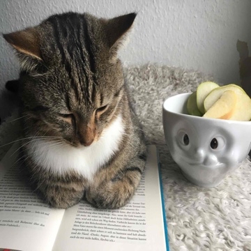geezie's profile