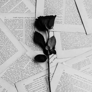 booklove13's profile