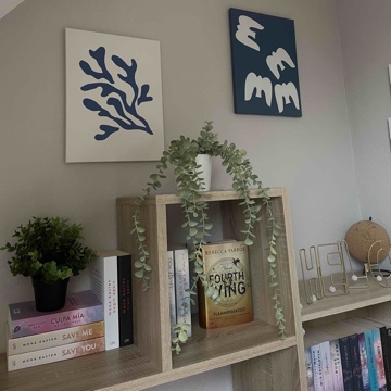 amely_books's profile