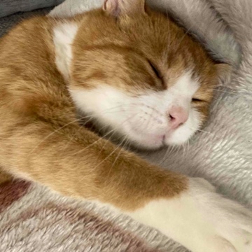 katkaesk's profile