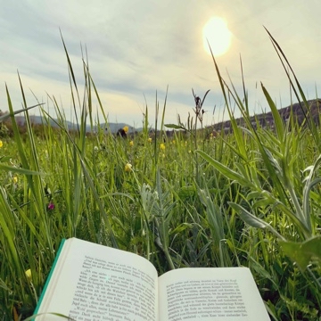 reading_and_overthinking's profile