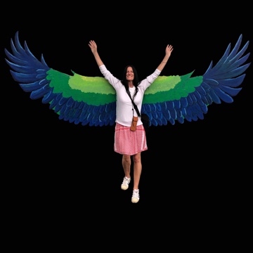vibekey's profile