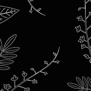 louiselnsmn's profile