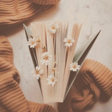 my_reading.diary_'s profile