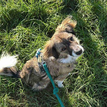 kaubonbon's profile
