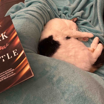 syphlk's profile