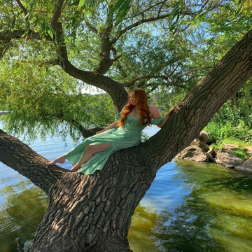 tay1orsversion's profile