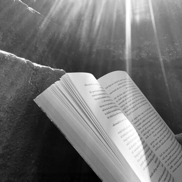 reading_maren's profile