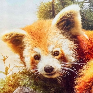 skunkmax's profile