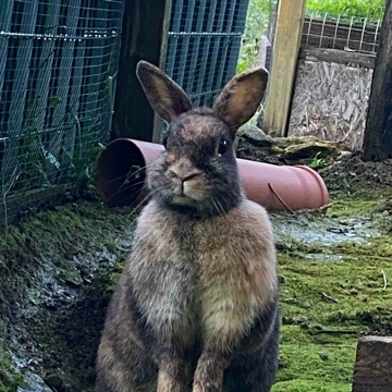 merle.05's profile