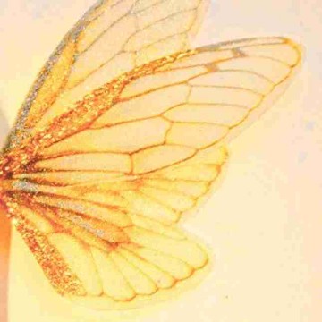 lady.flutterby