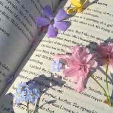 feli_reads's profile