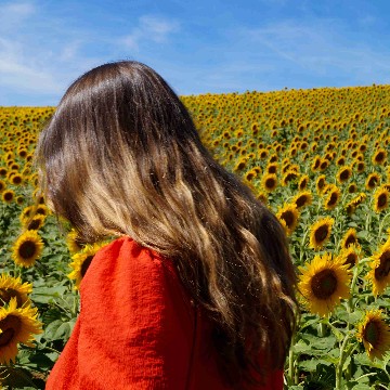 lauriliest's profile