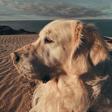 dolly98's profile