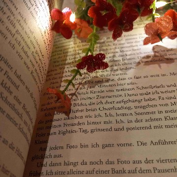 stellabookslove's profile