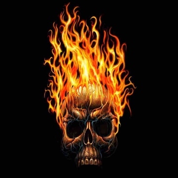 wilrex's profile
