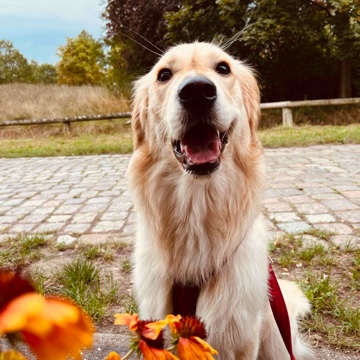 nysnys's profile