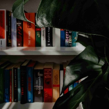 howtoescapeintobooks's profile