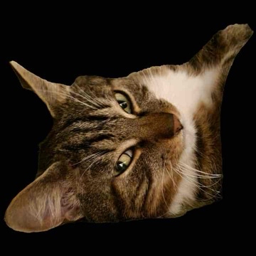 azuhr's profile