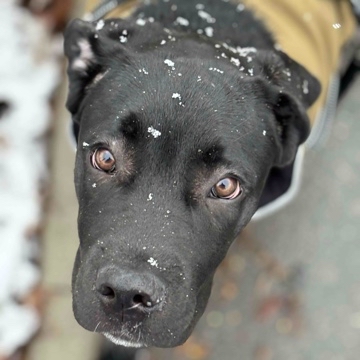 curley_0207's profile