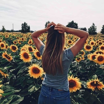 julesbuecherwelt's profile