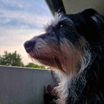 sailana's profile