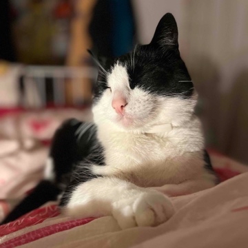 annaconda's profile