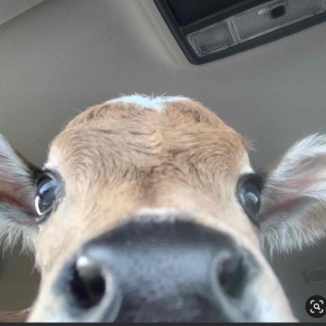 amanda22's profile