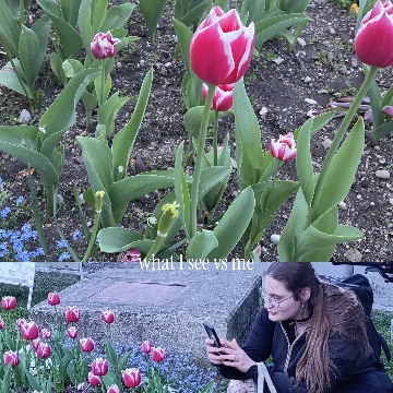 lady_flamestorm's profile
