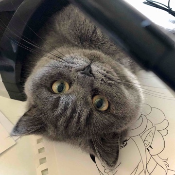 lumiinae's profile