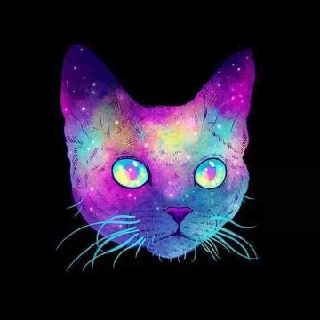 booksandbubbles's profile