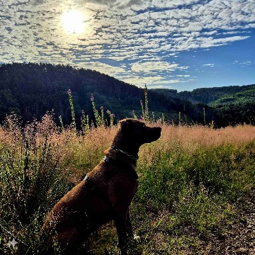 bissy0208's profile