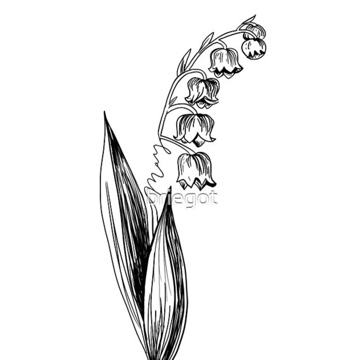 tabeax02's profile