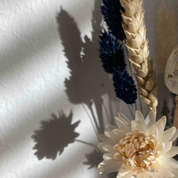 flurinalea's profile