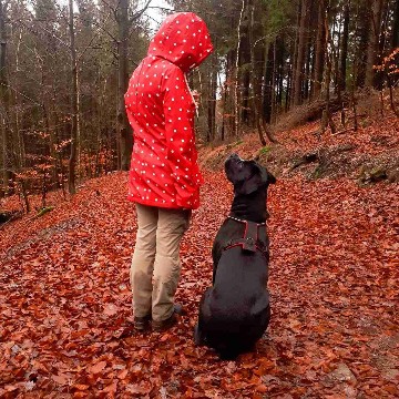 fuchs_liebt_buecher's profile