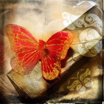daysidaybug's profile
