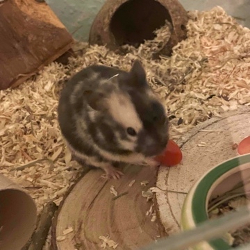 blinkeding's profile