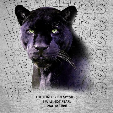 panther182's profile