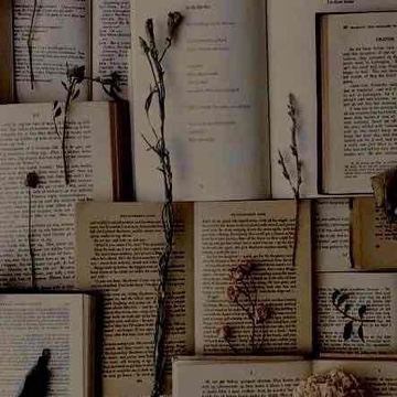 luna.lostinpages's profile