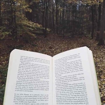 honey_and_books's profile