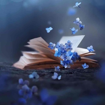 sophia_loves_books's profile