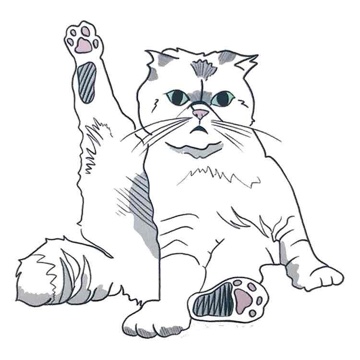 nini.liest's profile